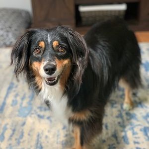 Meet your Posher, Jenna